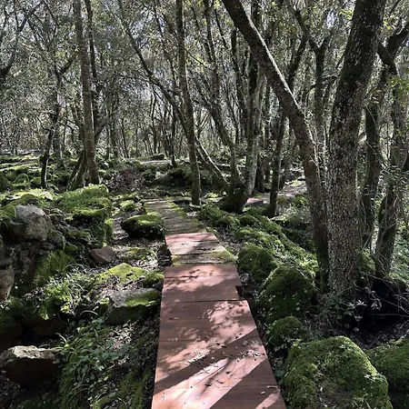 Nyaraló La Casetta Villa Verde
